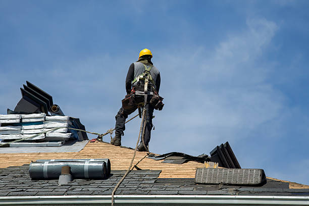 Professional Storm Damage Roof Repair technician working in Tangerine, FL